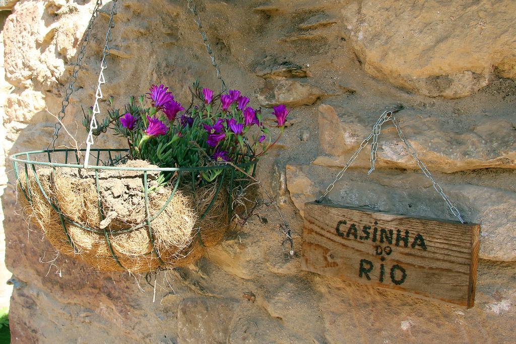 Sete Quintas Miranda do Corvo Exteriér fotografie